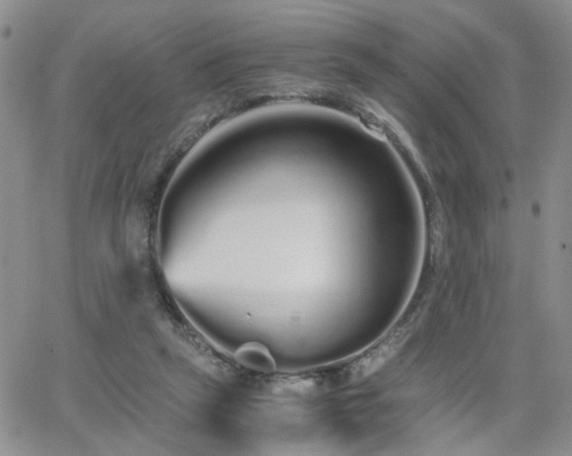 X0000066080257200603171038