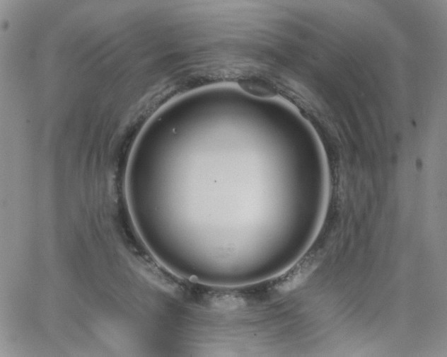 X0000066080258200603171038