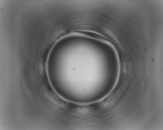 X0000066080259200603171038