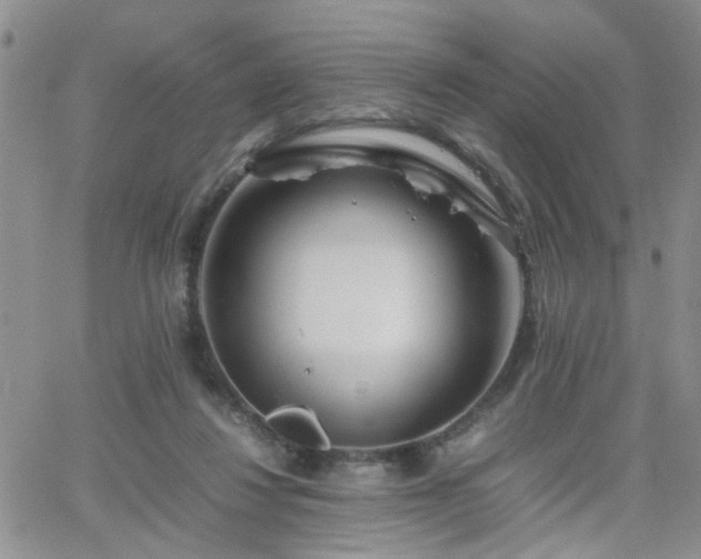 X0000066080260200603171038