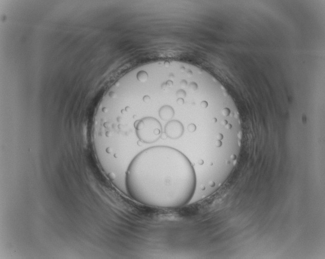 X0000066080262200603171038