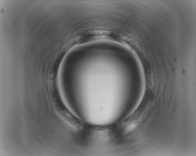 X0000066080263200603171038