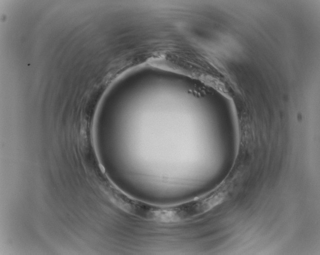 X0000066080265200603171038