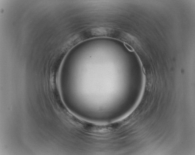 X0000066080267200603171038