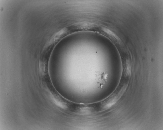 X0000066080268200603171038