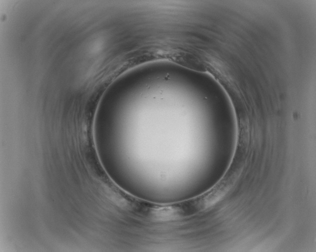 X0000066080269200603171038