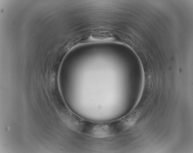 X0000066080271200603171038