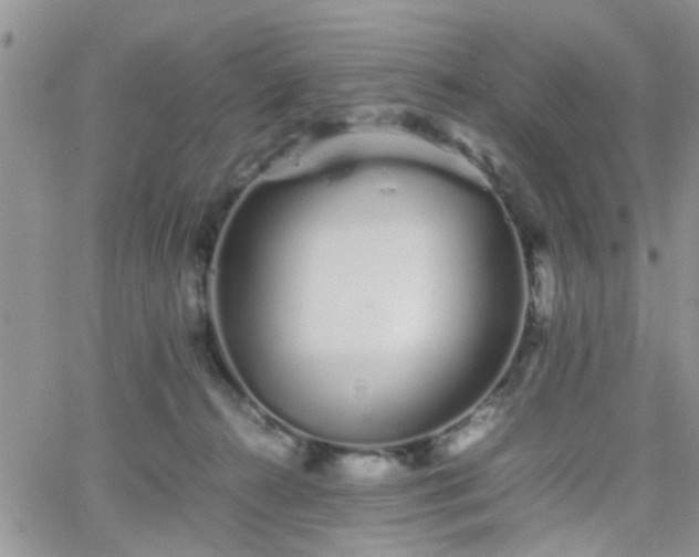 X0000066080272200603171038