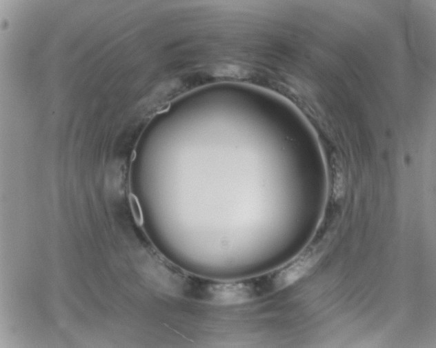 X0000066080273200603171038