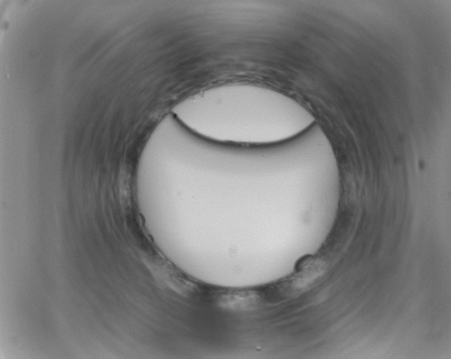 X0000066080274200603171038