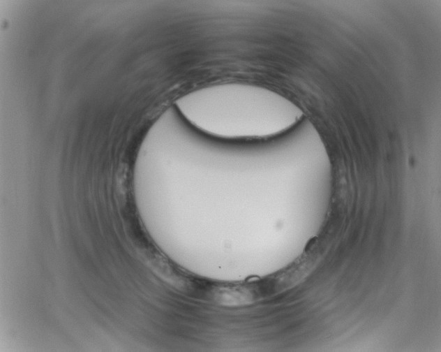 X0000066080275200603171038