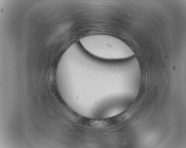 X0000066080277200603171038