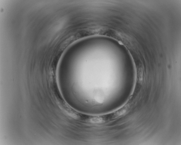 X0000066080279200603171038