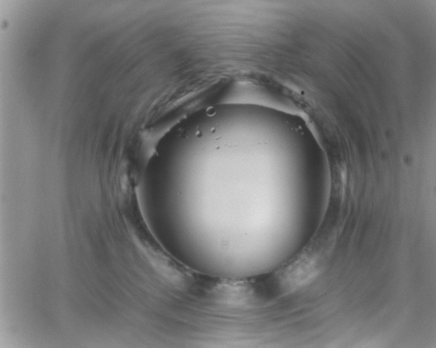 X0000066080280200603171038