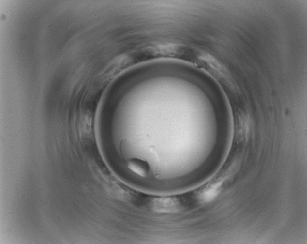 X0000066080281200603171038