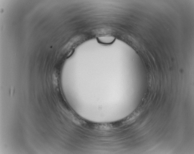 X0000066080282200603171038