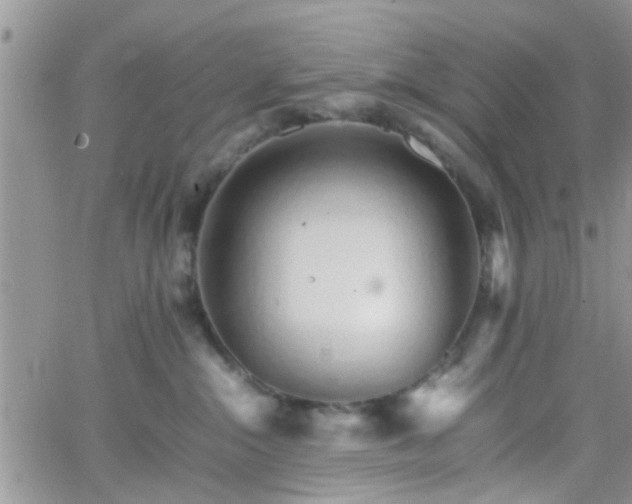 X0000066080284200603171038