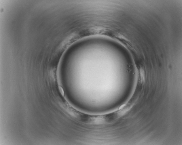 X0000066080286200603171038