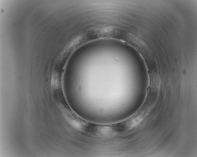 X0000066080287200603171038