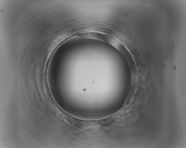 X0000066080289200603171037