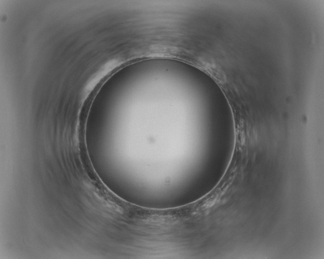 X0000066080292200603171037