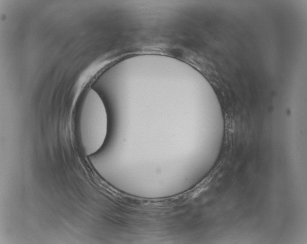 X0000066080294200603171037