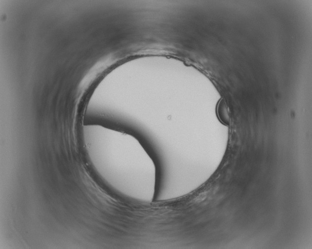 X0000066080296200603171037