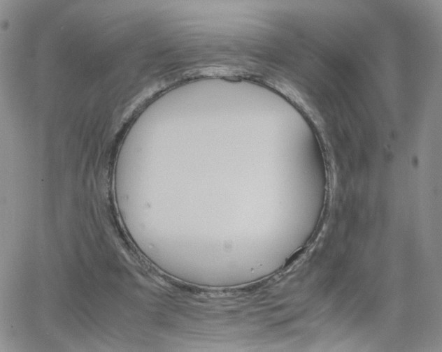 X0000066080297200603171037