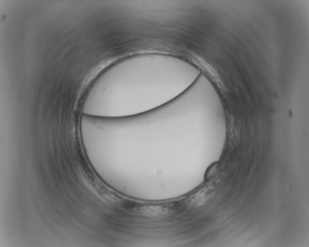 X0000066080298200603171037