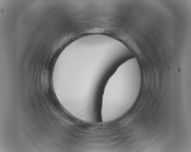 X0000066080300200603171037