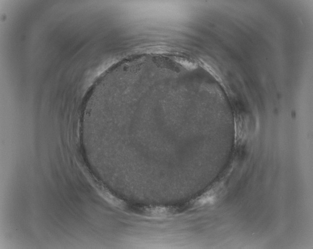 X0000066080301200603171037