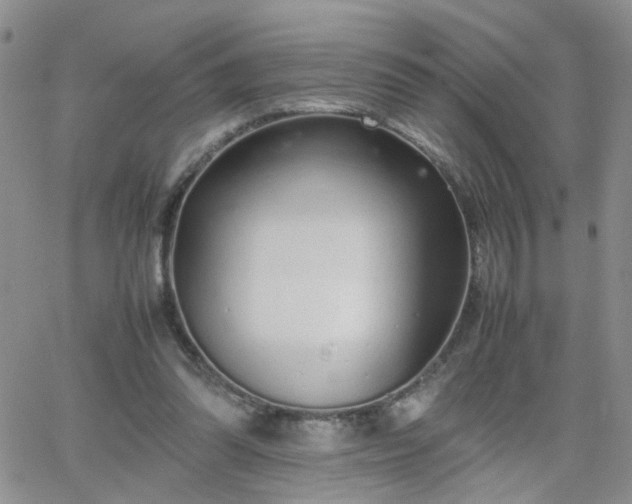 X0000066080302200603171037