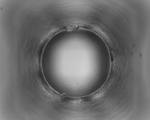 X0000066080306200603171037