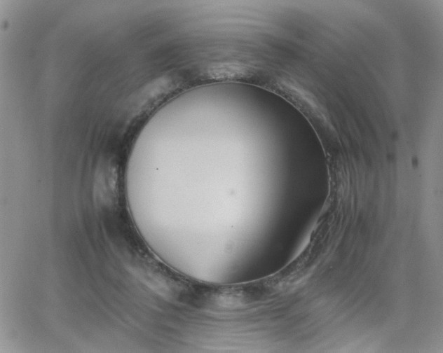 X0000066080308200603171037