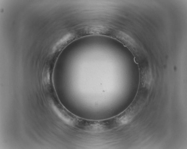 X0000066080310200603171037