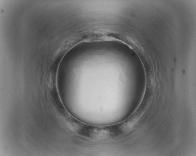 X0000066080311200603171037