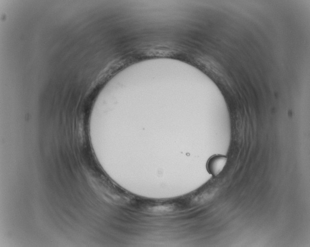 X0000066080312200603171037