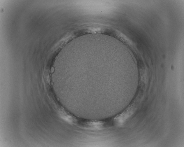 X0000066080313200603171037