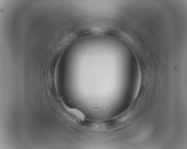 X0000066080317200603171037