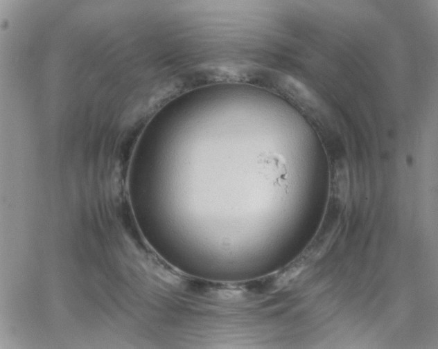 X0000066080318200603171037