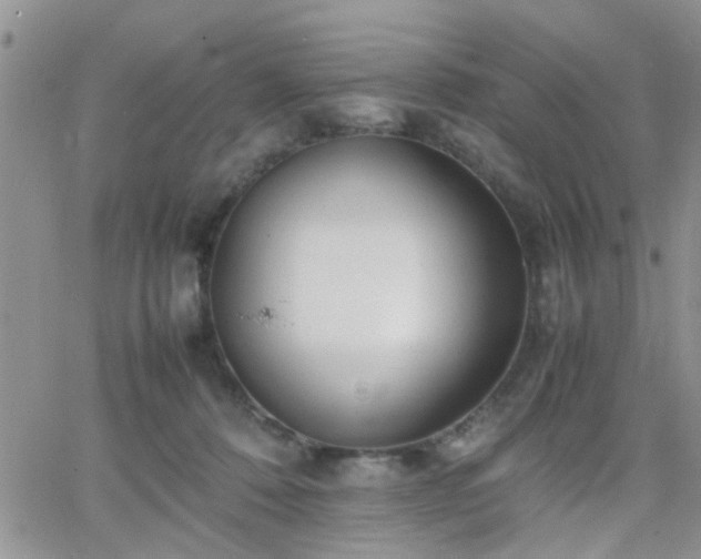 X0000066080320200603171037