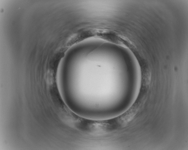 X0000066080323200603171037