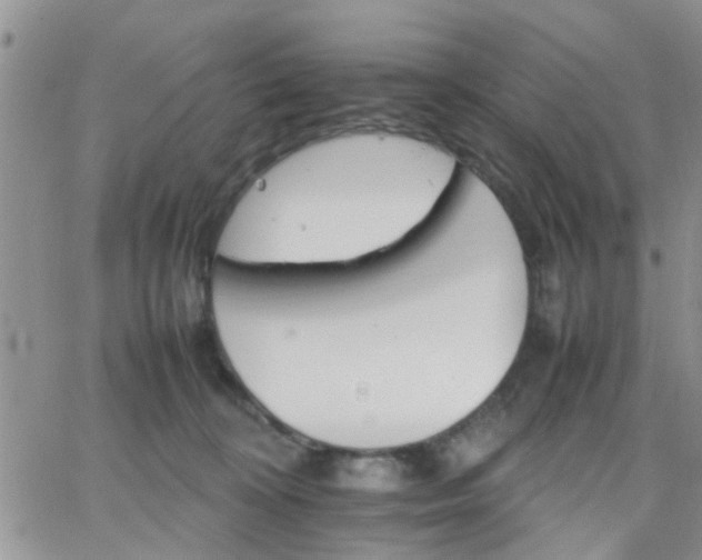 X0000066080324200603171037