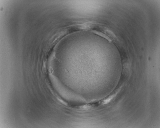 X0000066080325200603171037