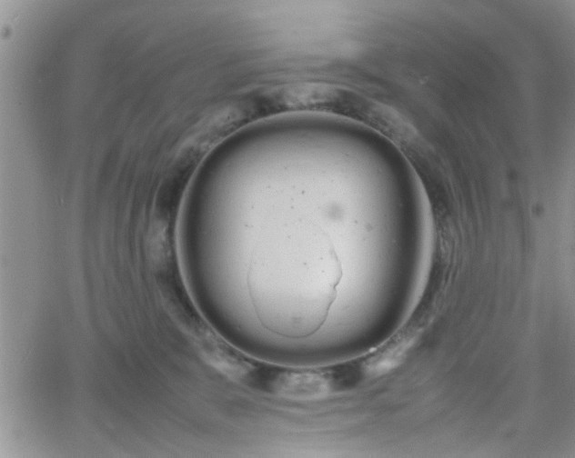 X0000066080327200603171037