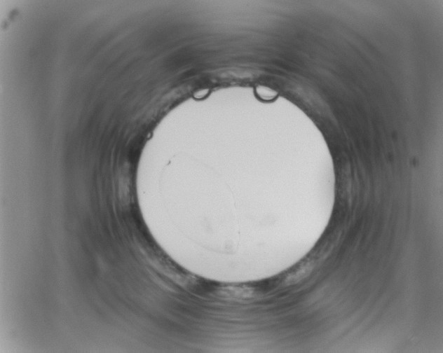 X0000066080328200603171037