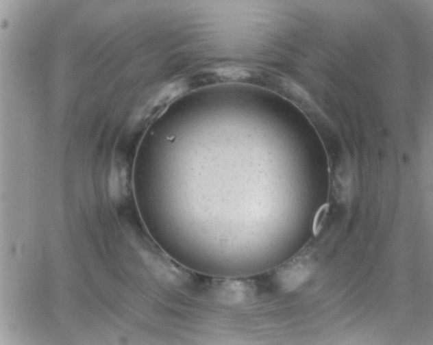 X0000066080330200603171037