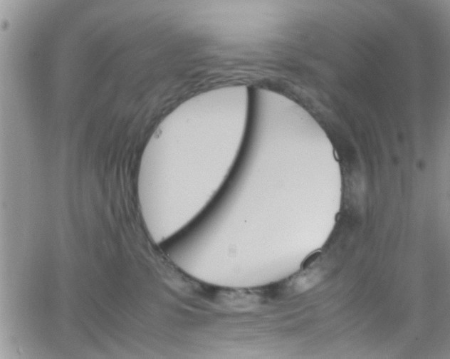 X0000066080331200603171037