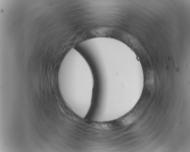 X0000066080332200603171037