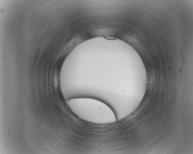 X0000066080334200603171037